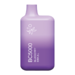 Blueberry Energize BC5000
