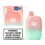 Float Pebble by Flum 6000 Puffs 5% Nicotine - Image 3