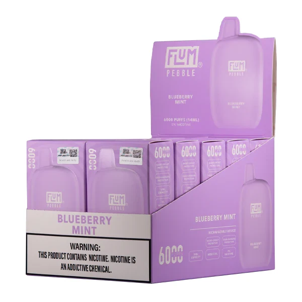 newport 100 carton online - A modern comparison showing a Newport 100 carton online delivery box next to a ZYN pouch tin, highlighting the shift to smoke-free nicotine.