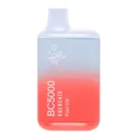 Fuji Ice BC5000