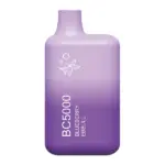 Blueberry Energize BC5000