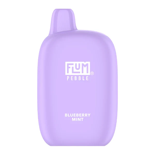 Blueberry Mint FLUM Pebble