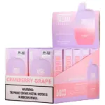 Cranberry Grape FLUM Pebble