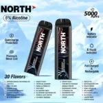 North 5000 Disposable Vape