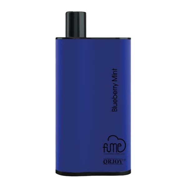 Blueberry Mint Fume Infinity
