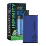 Blueberry Mint Fume Infinity